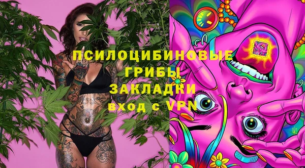 apvp Белокуриха